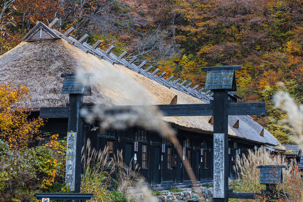 鶴の湯本陣