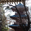 日吉神社三重塔　Ⅱ