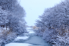 水路　Ⅲ