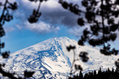 四角井戸溜池より　Ⅳ