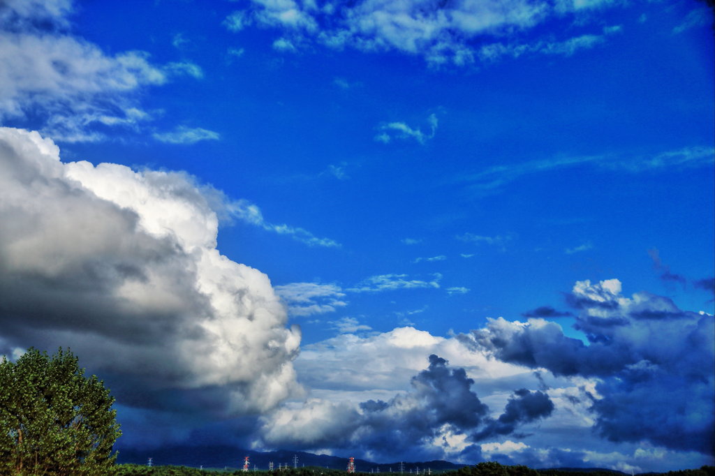 雲動く