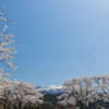 大須郷より　Ⅱ