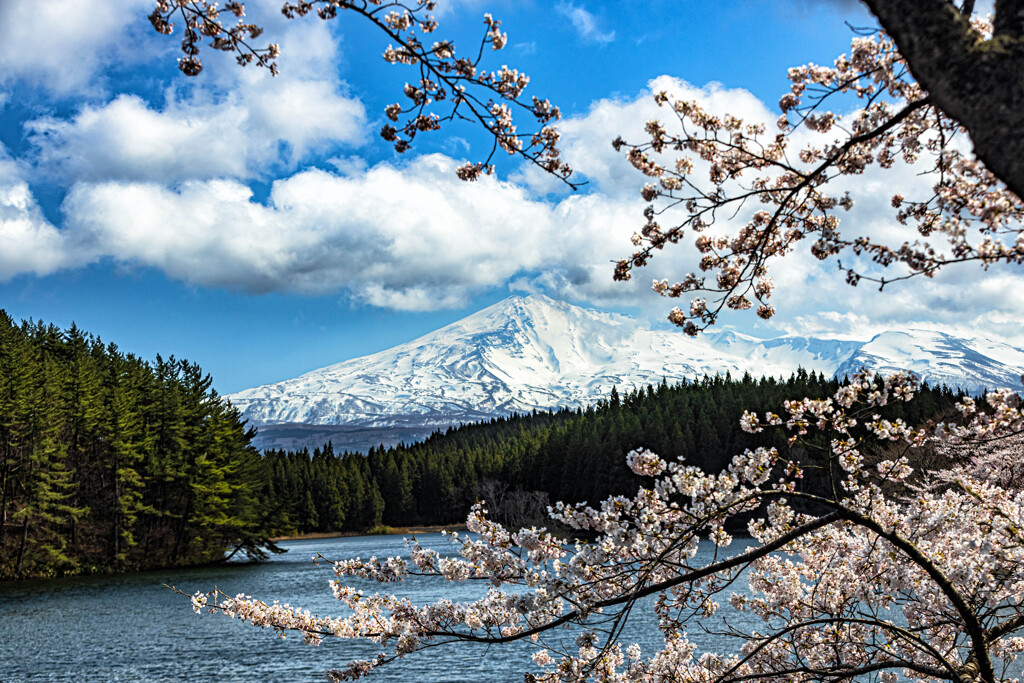 四角井戸溜池より