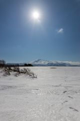 雪原