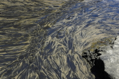 釜磯海岸