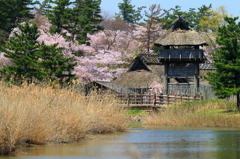 七人の侍