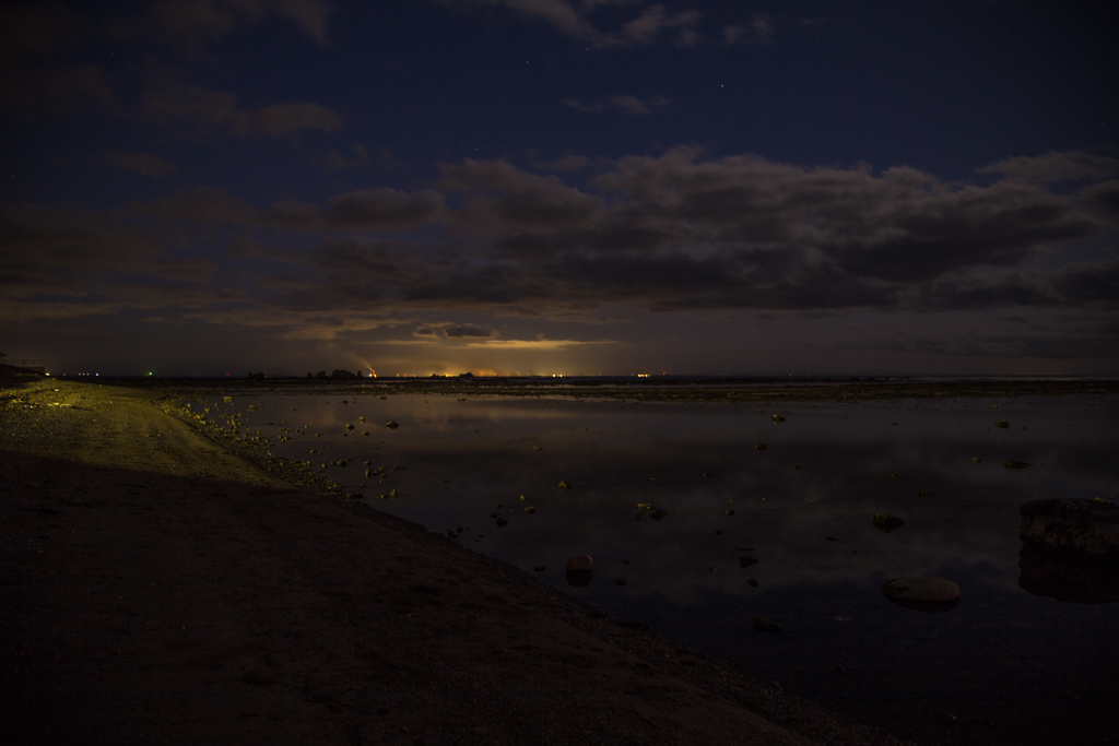 11月の鵜ノ崎海岸　⑳