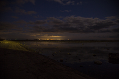 11月の鵜ノ崎海岸　⑳