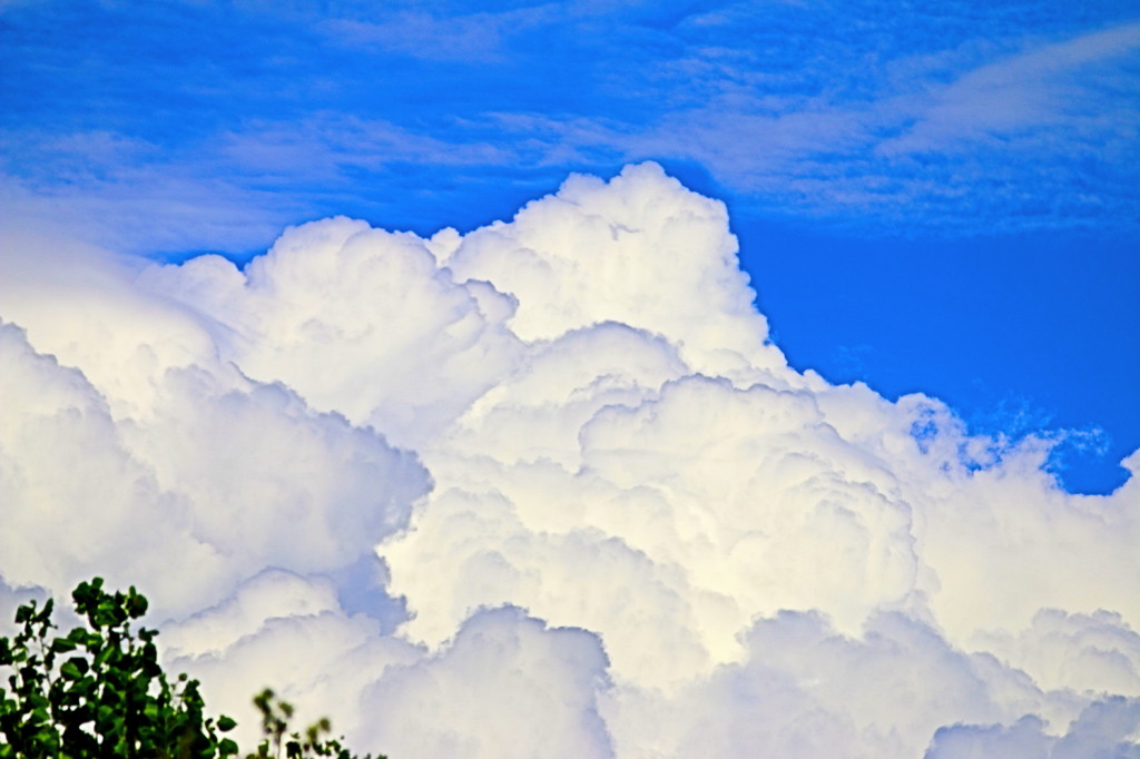 晩夏の雲　１
