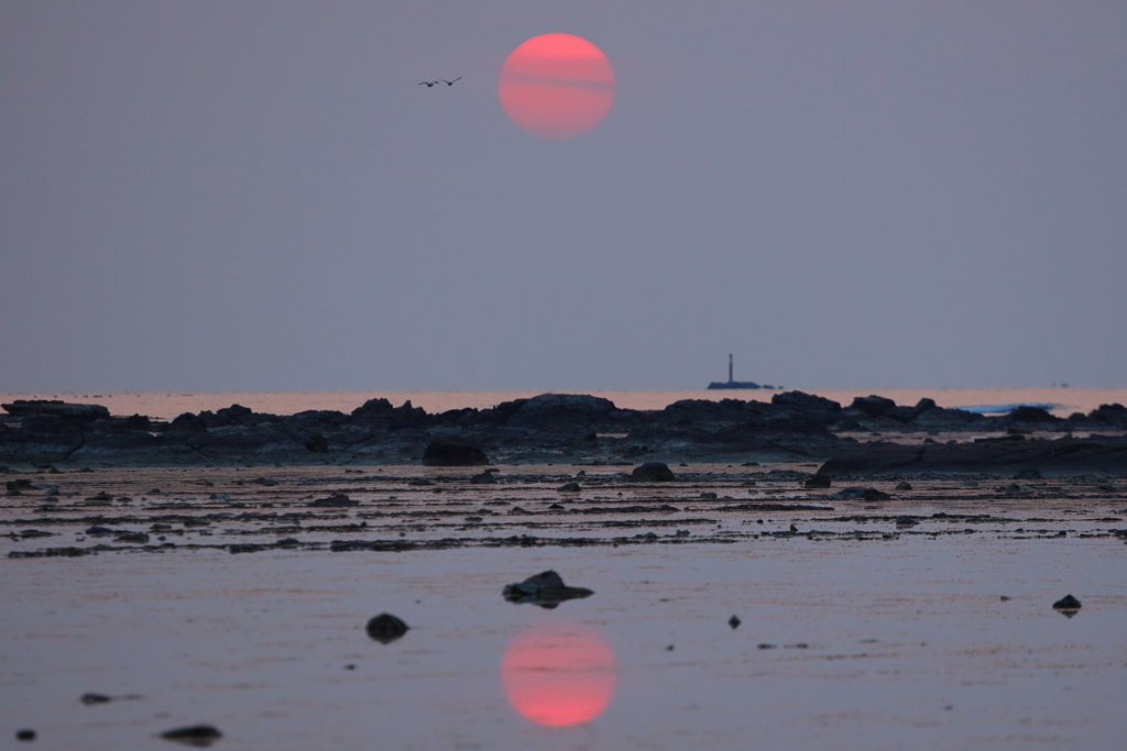 夕陽