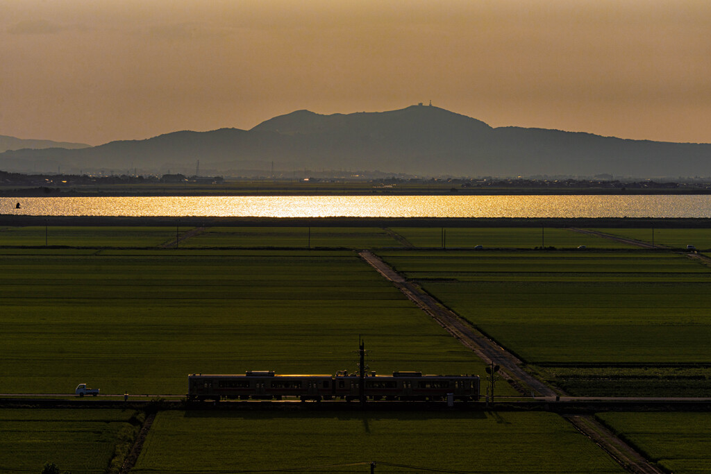 夏の夕照列車