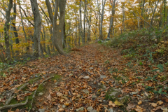 男鹿の山道　Ⅴ
