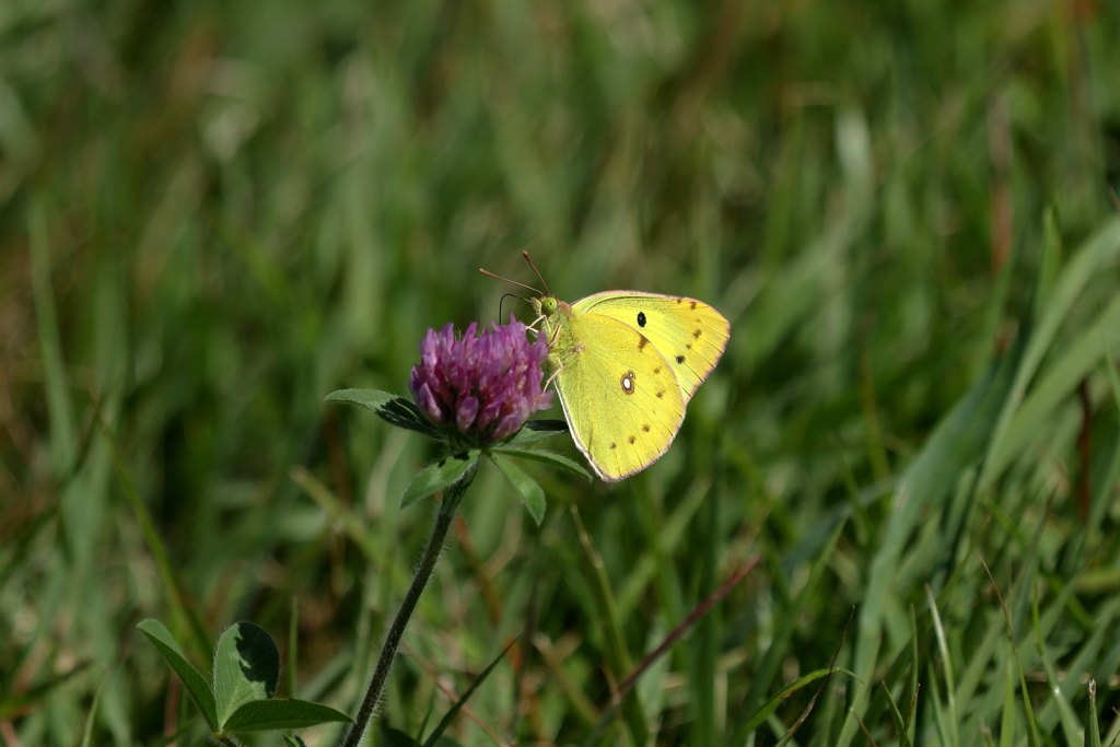 強く抱きしめて