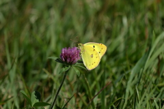 強く抱きしめて