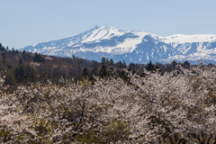 鳥海山よ！