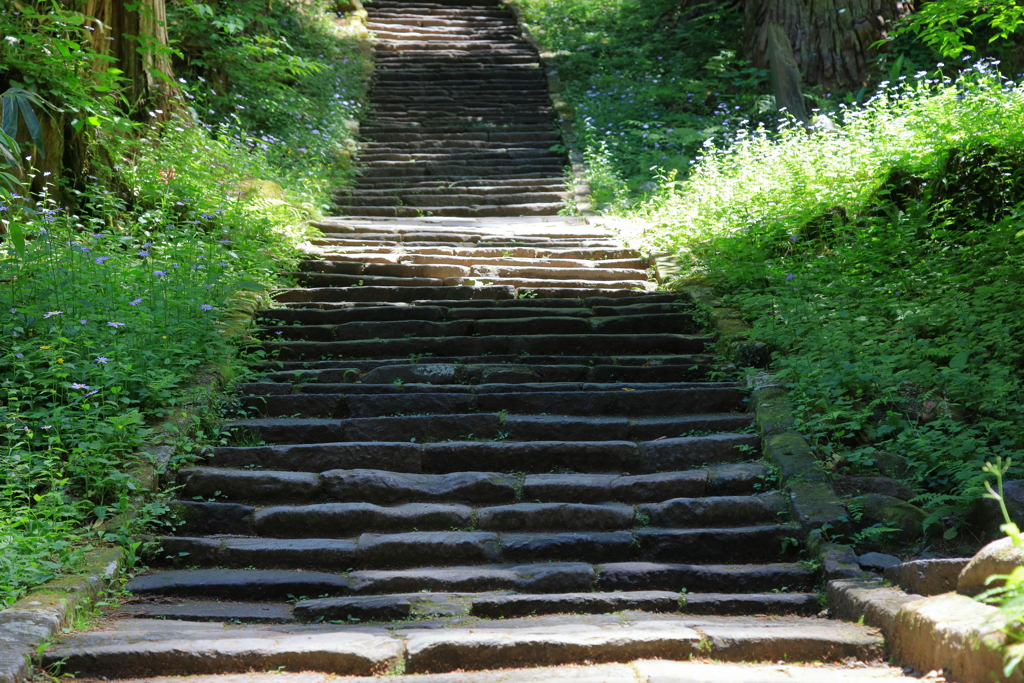 羽黒山　一の坂