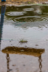 雨の日