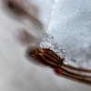 氷雪