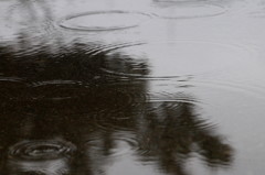 雨だれ