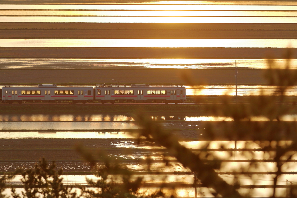 水田列車２