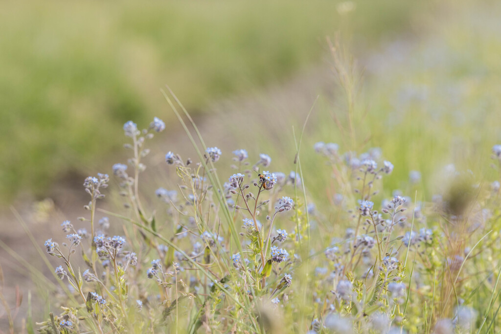 好きな場所（中心を見てね）