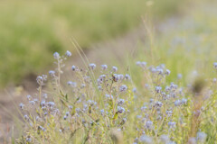 好きな場所（中心を見てね）