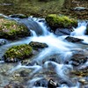 馬場目川上流　Ⅱ 