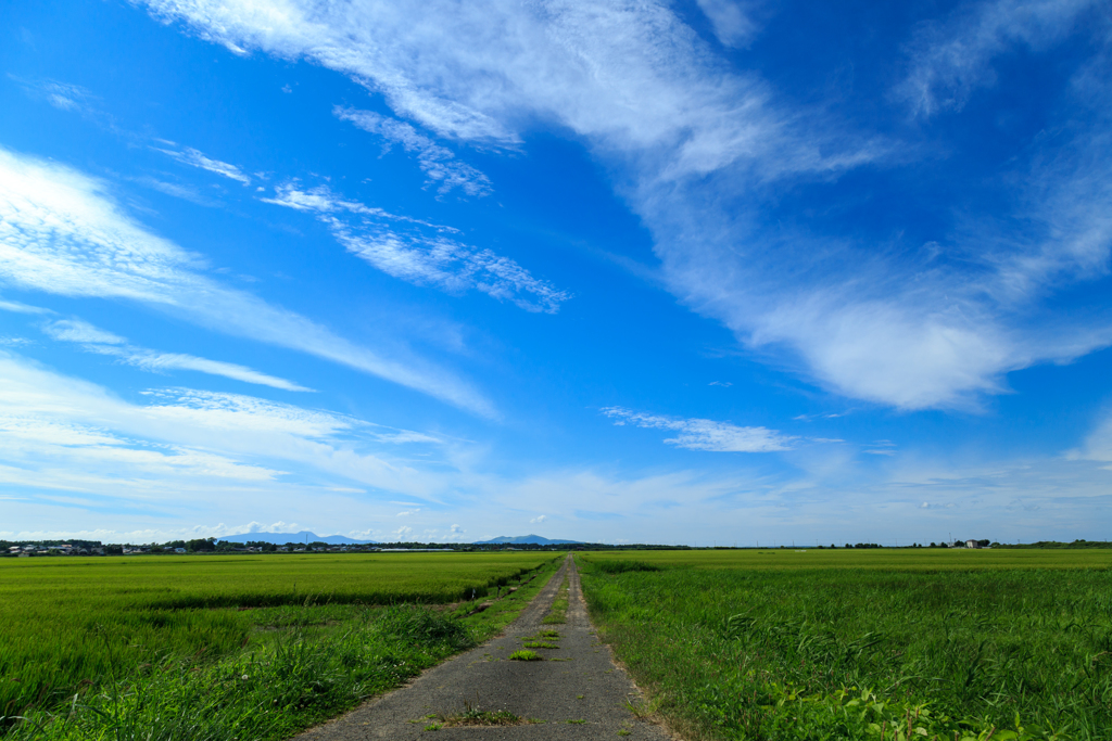 南秋平野の夏　Ⅰ