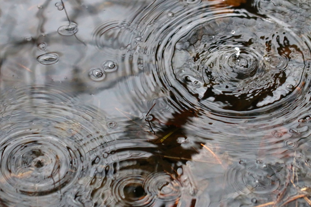 水滴