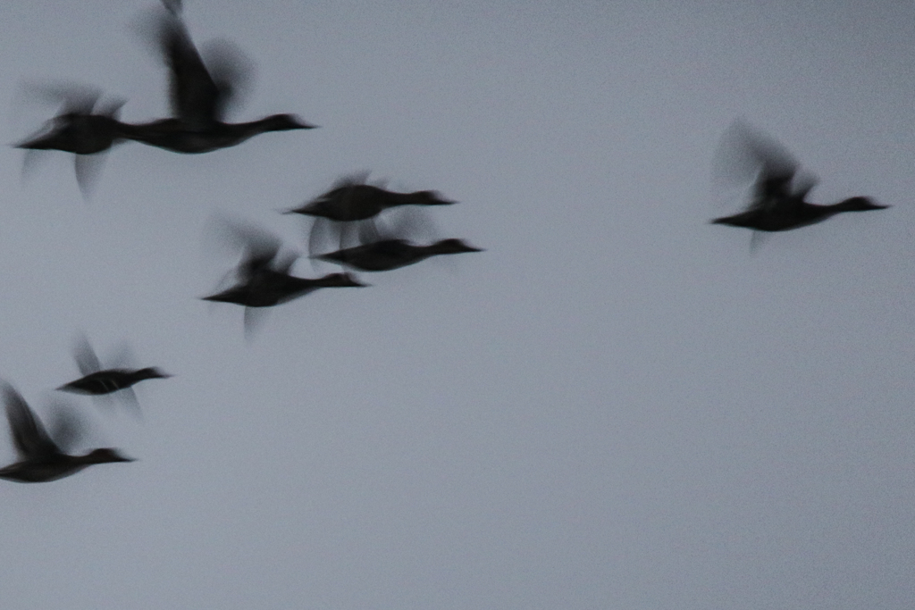 早朝のシルエット