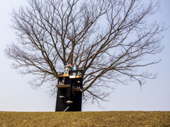 オブジェ