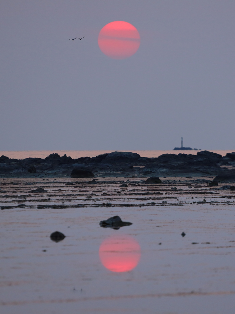 夕陽　Ⅲ