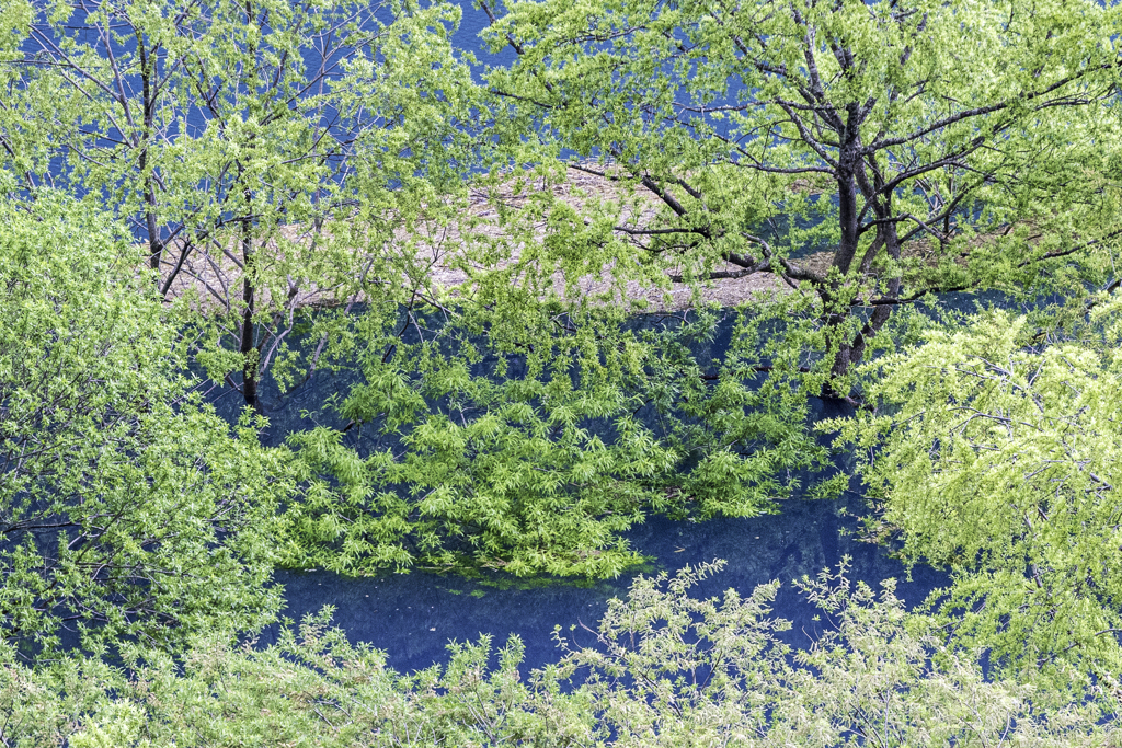 ごちゃごちゃな春