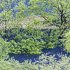 ごちゃごちゃな春