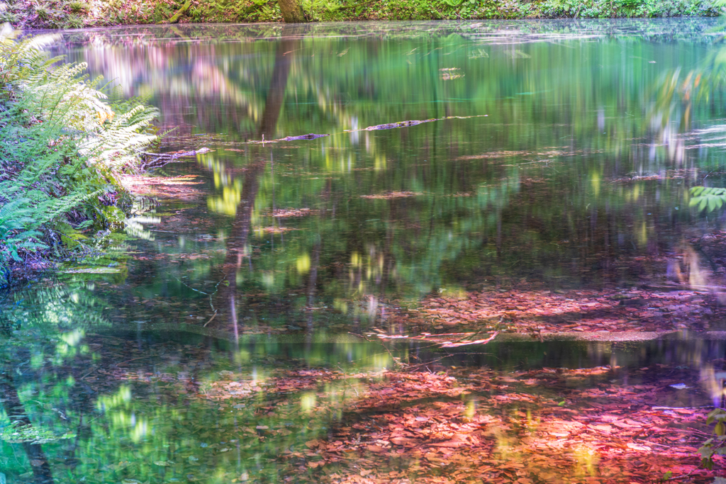 青池幻想　Ⅳ