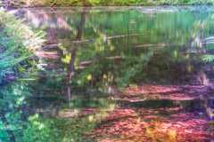 青池幻想　Ⅳ