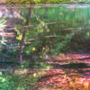 青池幻想　Ⅳ