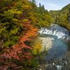 岩瀬川　上流
