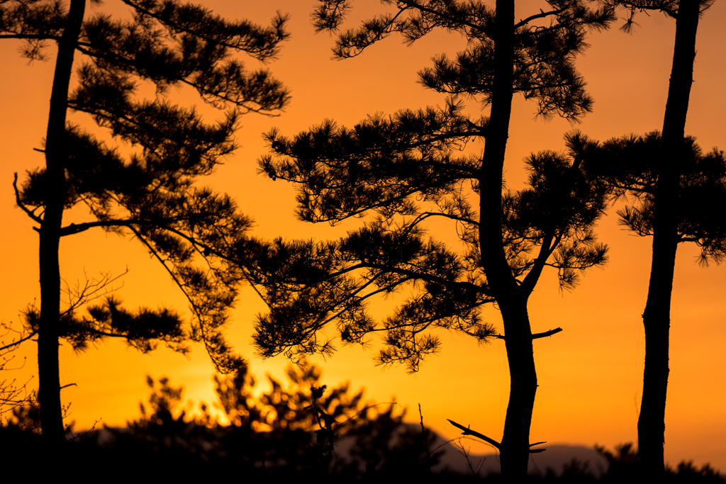 グリーンランドの夕焼け