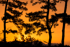 グリーンランドの夕焼け