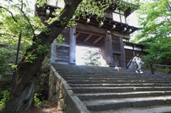 矢留城　表門