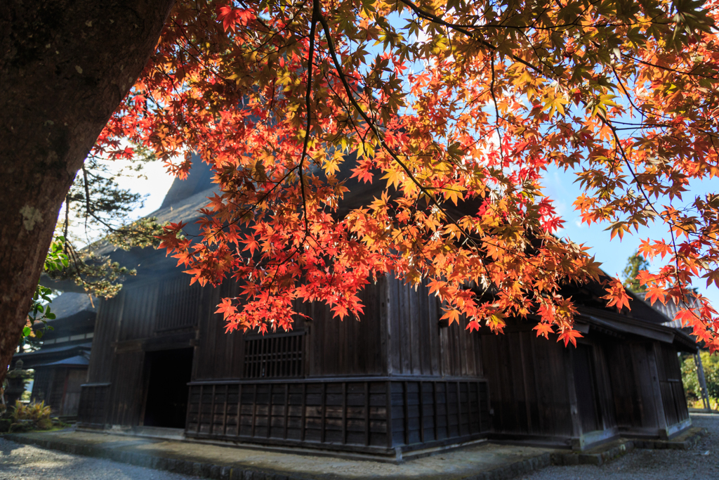 紅葉の三浦館