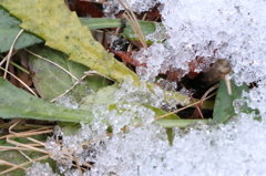 ざらめ雪