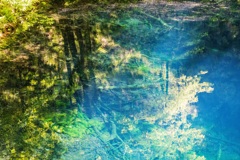 青池幻想　Ⅴ