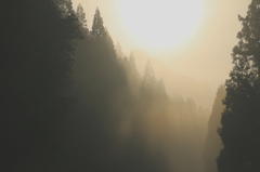 朝霧