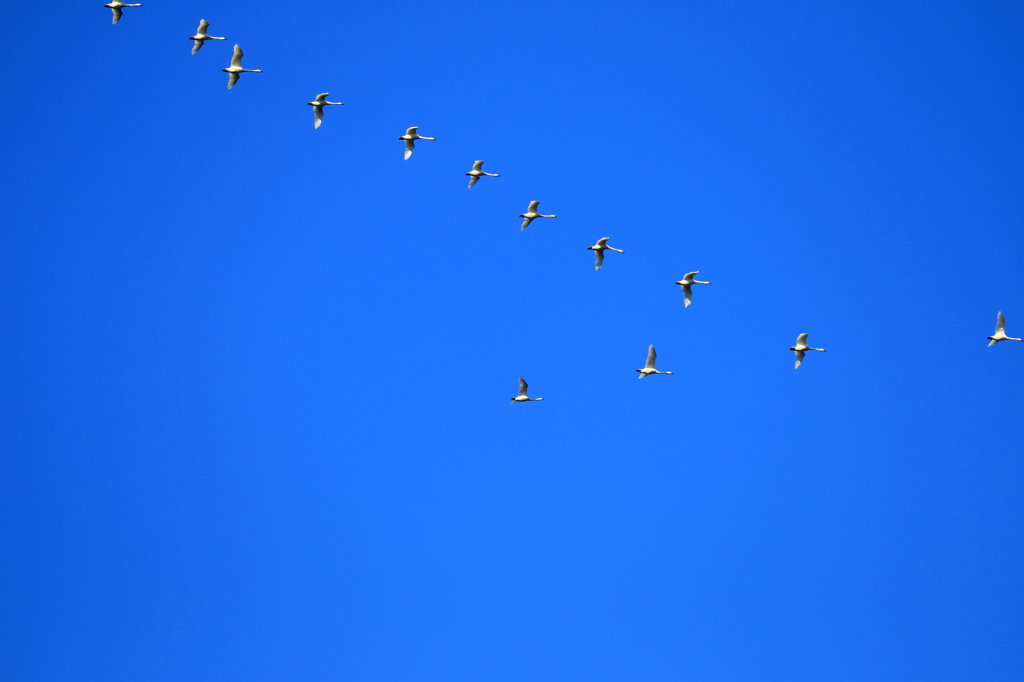 上空