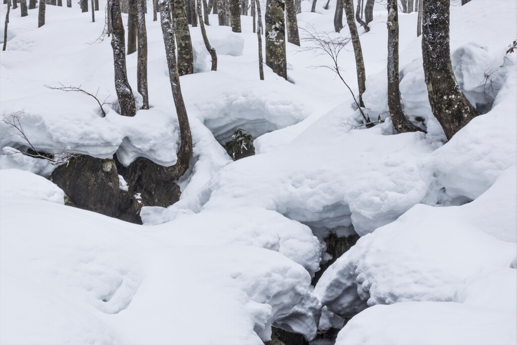雪林　Ⅱ