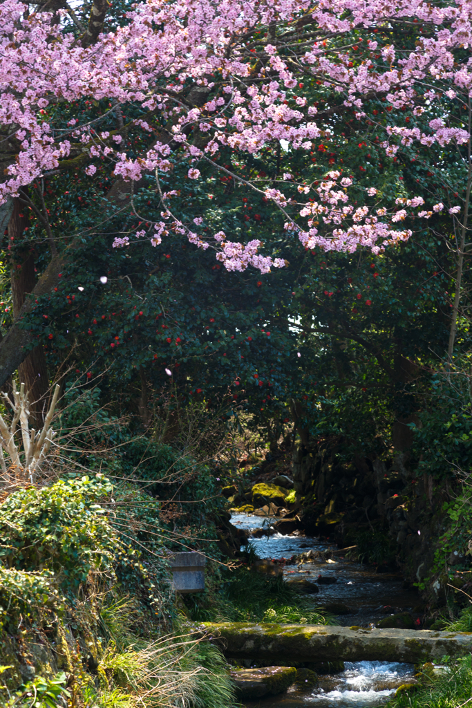 春の小川