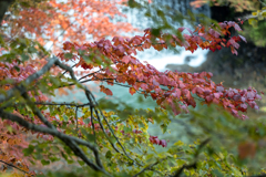 岩瀬川　堰堤　