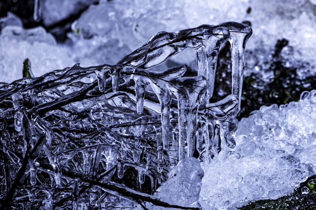 風景・自然写真集